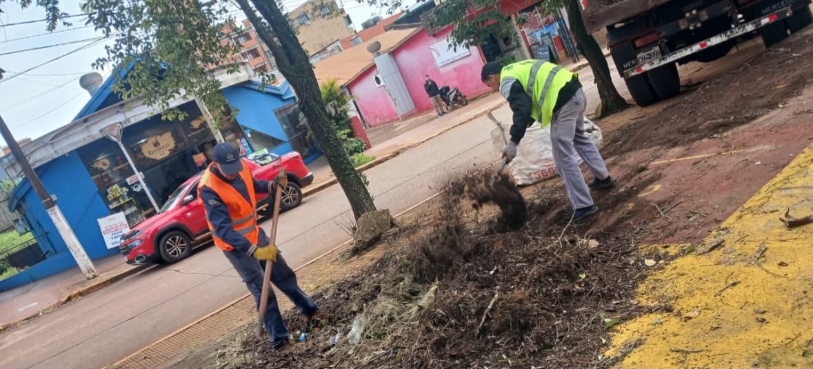 Eldorado: intervienen el predio de la ex terminal tras recibir la autorización correspondiente 2